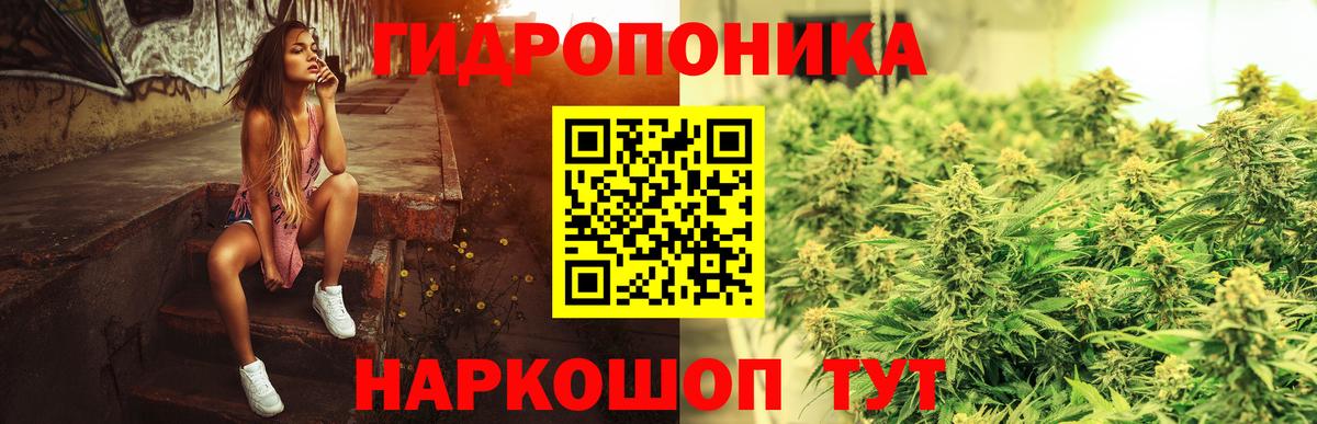 Бошки марихуана ГИДРОПОН Чапаевск